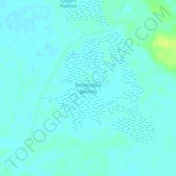 Mapa topográfico Noorumba Swamp, altitud, relieve