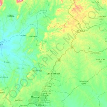 Mapa topográfico Los Palmitos, altitud, relieve